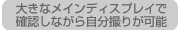 傫ȃCfBXvC