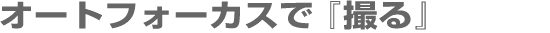 オートフォカスで『撮る』