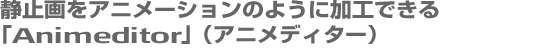Î~Aj[V̂悤ɉHłAjfB^[