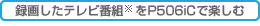 ^悵ԑgP506iCŊy